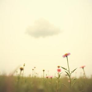 如果云会说话 (MAX)