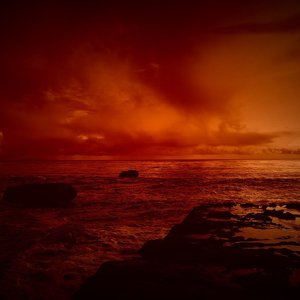 If I can see you again