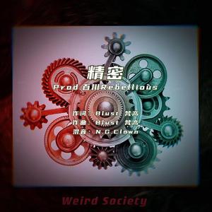 精密（Prod.百川Rebellious）