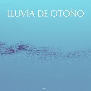 Lluvia Meditativa