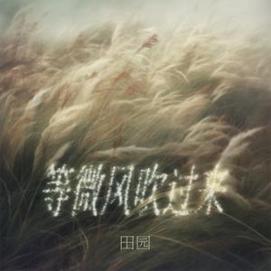 等微风吹过来 (DJ铁柱版)