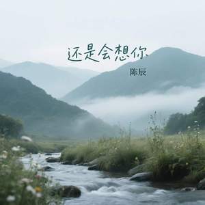 还是会想你