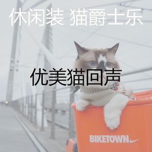 有趣小猫情怀