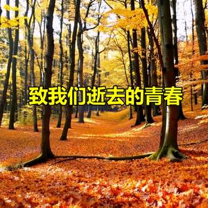 致我们逝去的青春