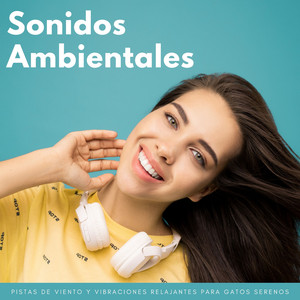 Pistas De Vientos Calmantes