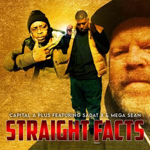 Straight Facts (feat. Sadat X & Mega Sean)