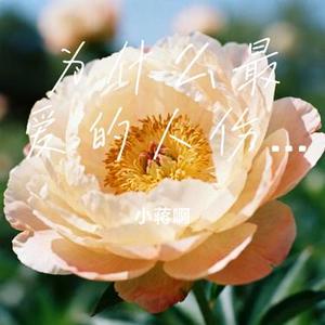 为什么最爱的人伤我最深 (小蒋啊 Remix)