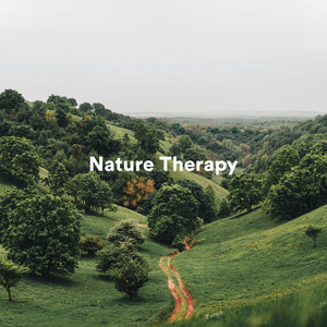 Rain Under the Porch