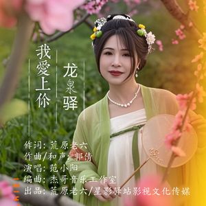 龙泉驿我爱上你