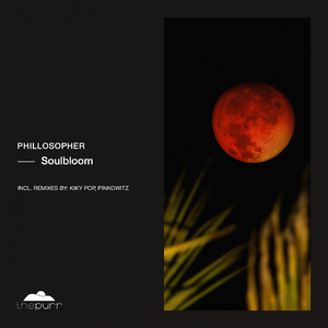 Soulbloom (Kiky Pop Remix)