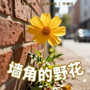 墙角的野花