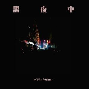 黑夜中（翻自 梁博）