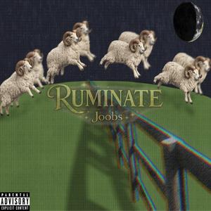 Ruminate