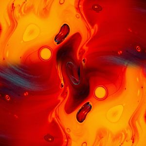 飞鸟-整曲 伴奏