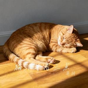 猫与午后三点