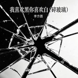 我喜欢黑你喜欢白（碎玻璃）
