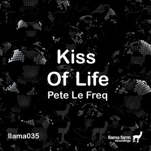 Kiss of Life (Original Mix)