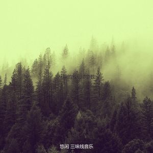 柔和的回春时刻