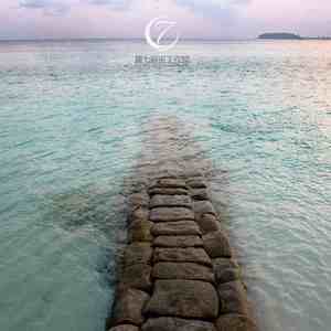 纯白思绪 (钢琴曲｜助眠｜催眠.)