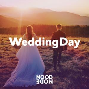 Wedding Day