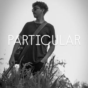 Particular