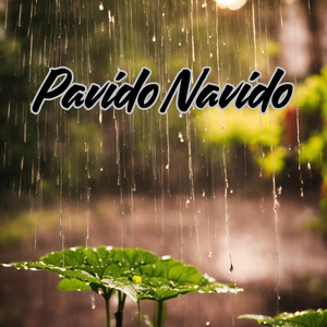 Pavido Navido