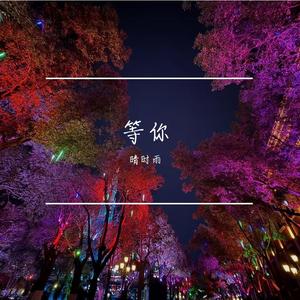 晚风等落叶而我等你路过