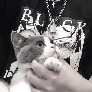 诗与没有他的远方