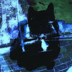 我拥有很多的财富