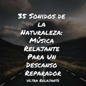 El Estrés Desaparece Para Siempre