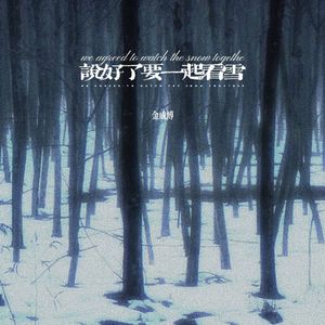 去年冬天（说好了要一起看雪）