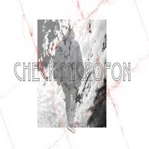 Check Microfon (Remix)