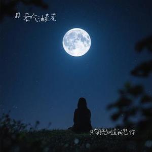 只有月亮知道我想你
