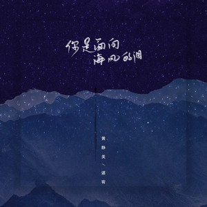 你是面向海风的泪
