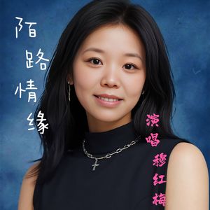 陌路情缘 （穆红梅）