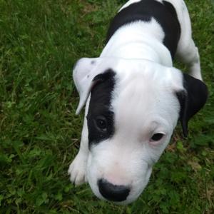 Closer to You (Live)