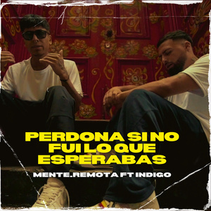 Perdona si no fui lo que esperabas