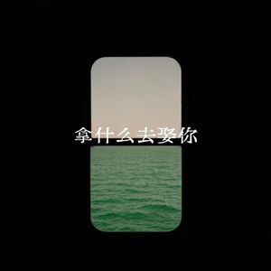拿什么去娶你