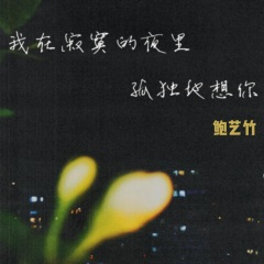 我在寂寞的夜里孤独地想你