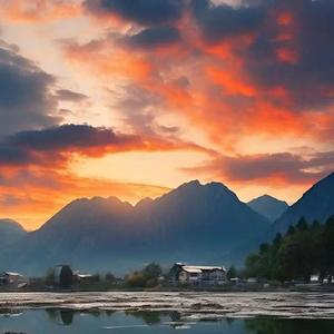 刘德华-爱你一万年