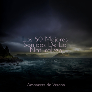 Encantadora Valsa de Rocío