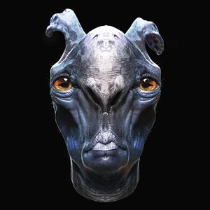 【FREE】rhinoceros