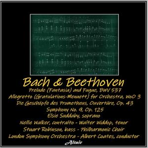 Symphony NO. 9 in D Minor, Op. 125: IV. Presto - Allegro Assai