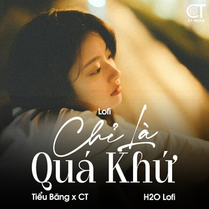 Chỉ Là Quá Khứ (Lofi)