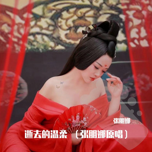 逝去的温柔 （加速版）