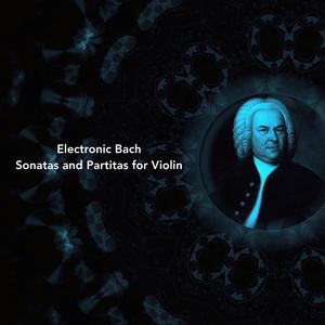 Partita No. 2 in D minor, BWV 1004: V. Ciaccona
