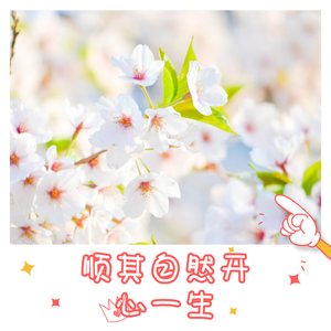 顺其自然开心一生