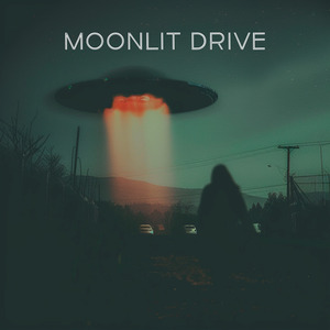 Moonlit Drive