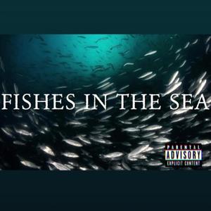 FISHES IN THE SEA