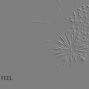 Feel
